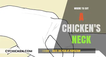 How to Humanely Cut a Chicken's Neck: A Step-by-Step Guide