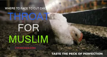 Facing Qibla When Slaughtering Animals for Halal Meat