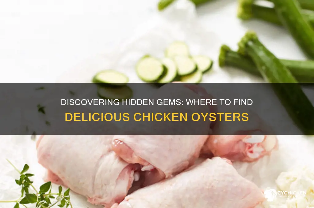 where to fi d the chicken oysters