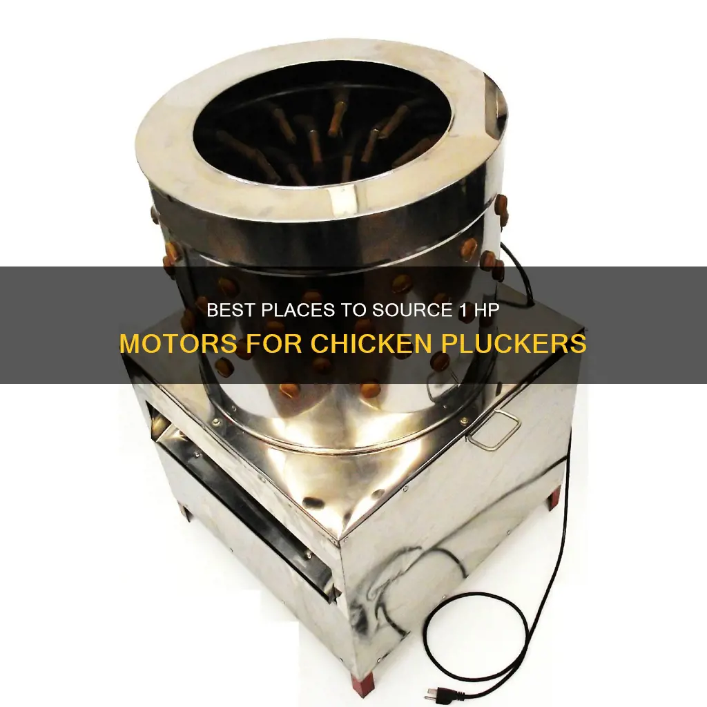 where to find 1 hp motor for chicken plucker