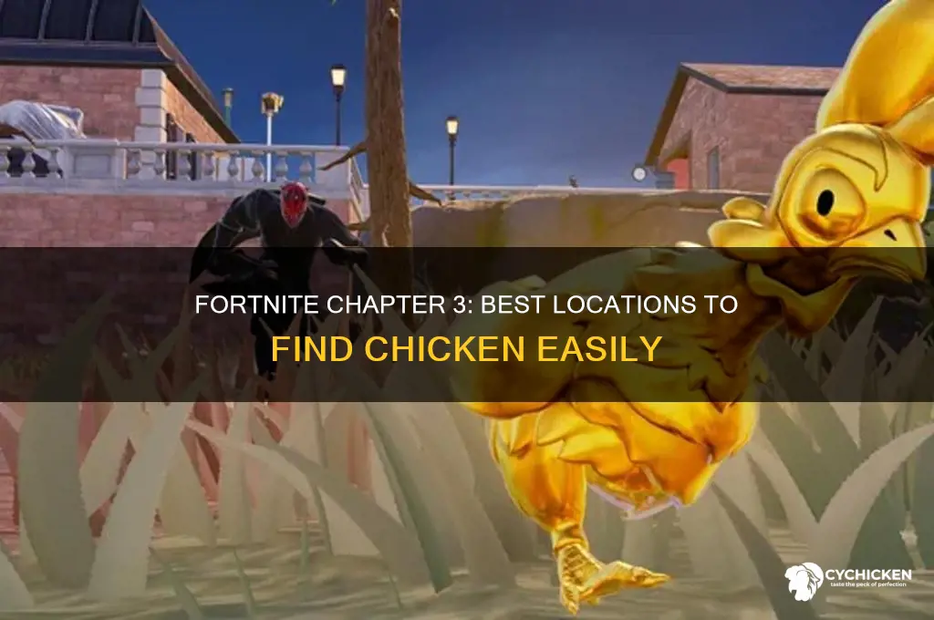 where to find a chicken fortnite chapter 3