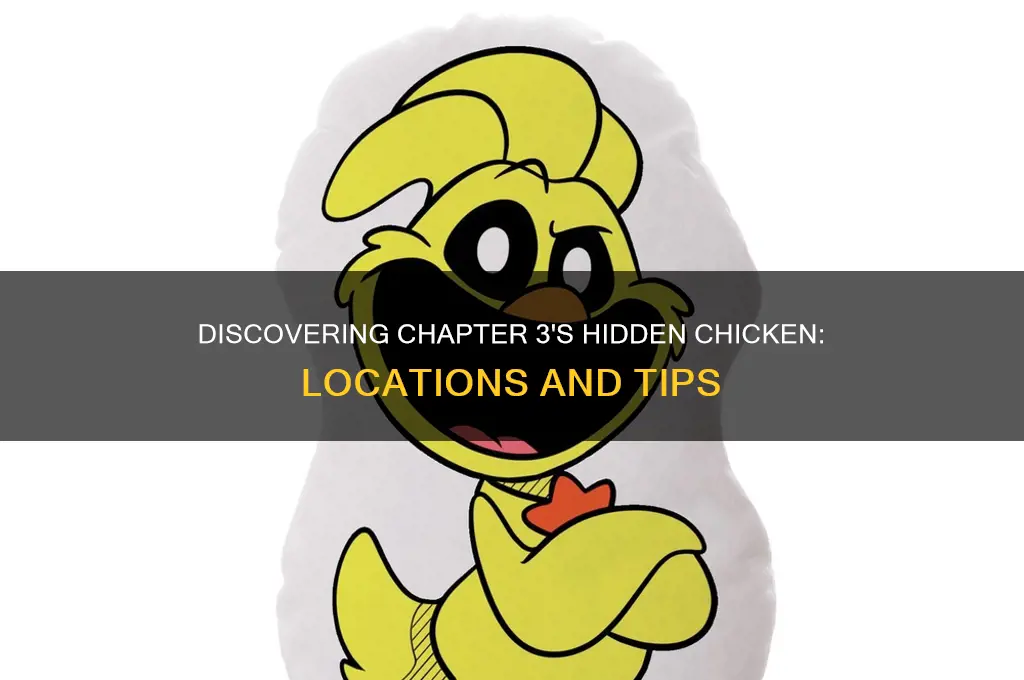 where to find a chicken in chapter 3