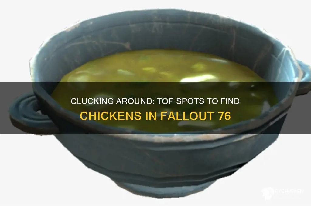where to find a chicken in fo76