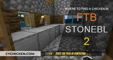 Finding Chickens in FTB Stoneblock 2