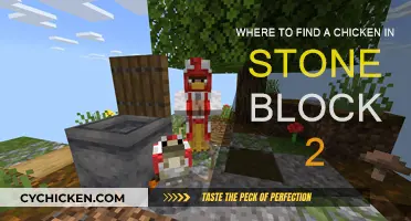 Finding Chickens in Stone Block 2: A Guide