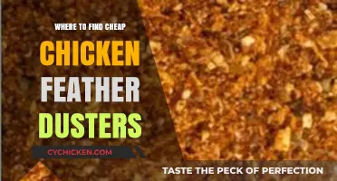 Affordable Chicken Feather Dusters: Top Spots to Buy on a Budget