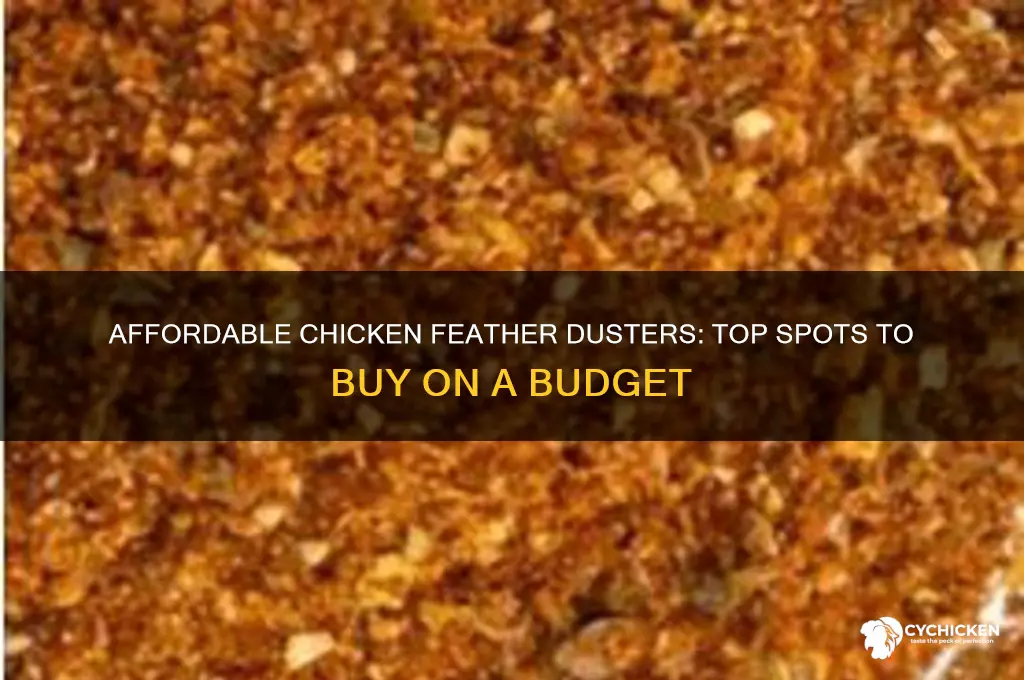 where to find cheap chicken feather dusters