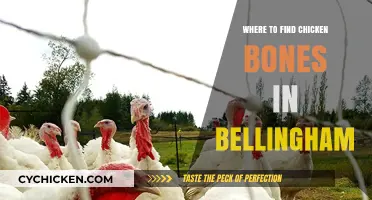 Discover Hidden Spots for Chicken Bones in Bellingham's Best Eateries