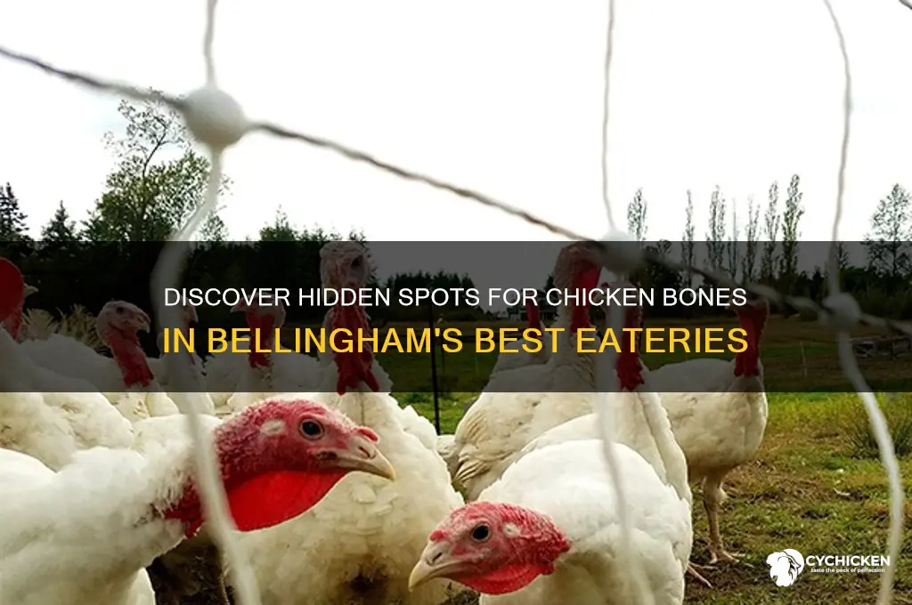 where to find chicken bones in bellingham