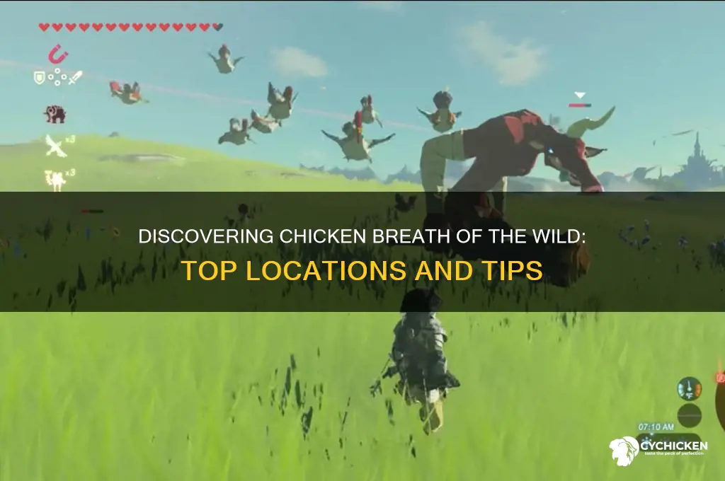 where to find chicken breath of the wild