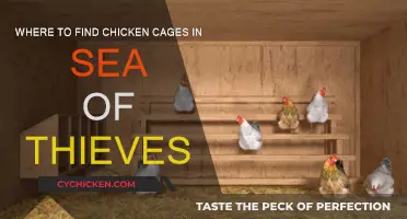 Finding Chicken Cages in Sea of Thieves