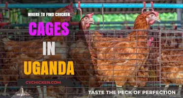Discover Top Chicken Cage Suppliers in Uganda: A Comprehensive Guide