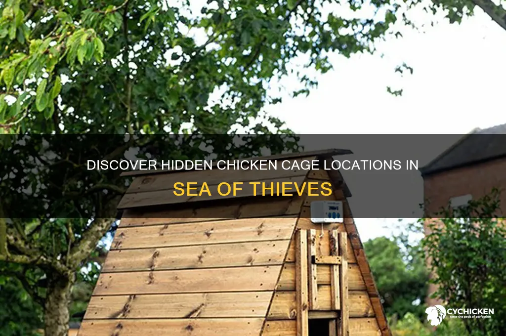 where to find chicken cages sea of thieves