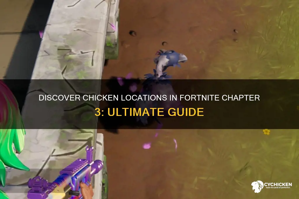 where to find chicken fortnite chapter 3