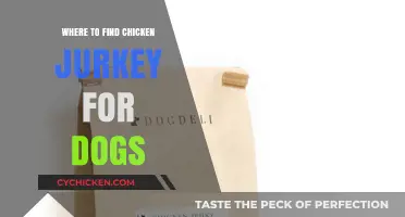 Best Places to Buy Chicken Jerky Treats for Your Dog