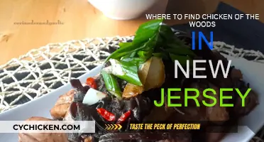 Finding Chicken of the Woods in New Jersey's Forests