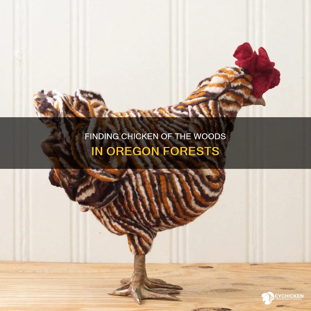 where to find chicken of the woods in oregon