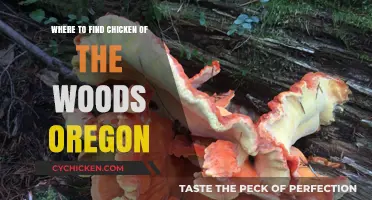 Discovering Chicken of the Woods: Oregon's Best Foraging Spots