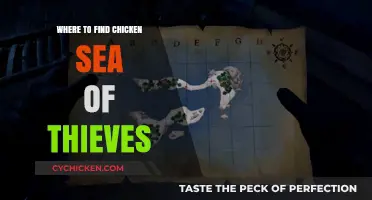 Discover Hidden Chicken Locations in Sea of Thieves: A Guide