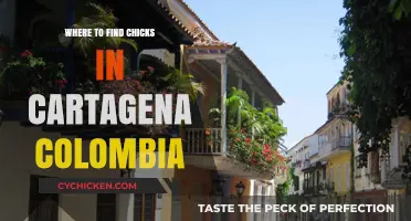 Discover Cartagena's Best Spots to Meet Chicks: A Local's Guide