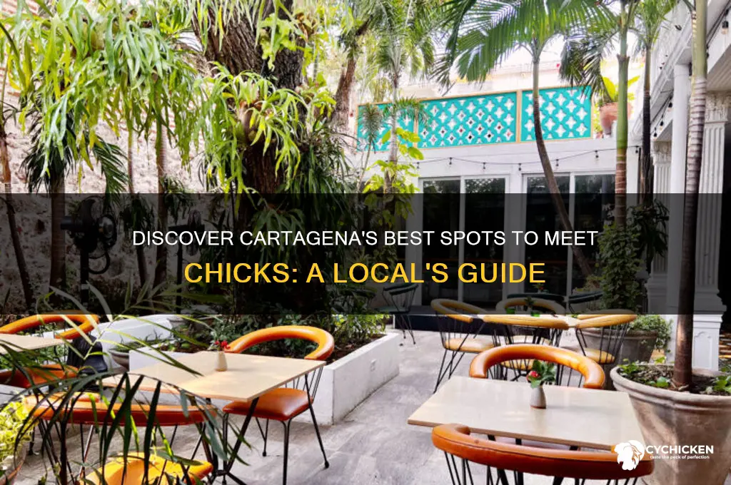 where to find chicks in cartagena colombia