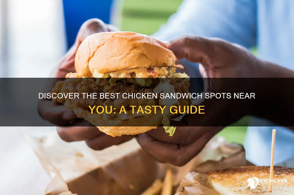 where to find delicious chicken sandwiches in my area