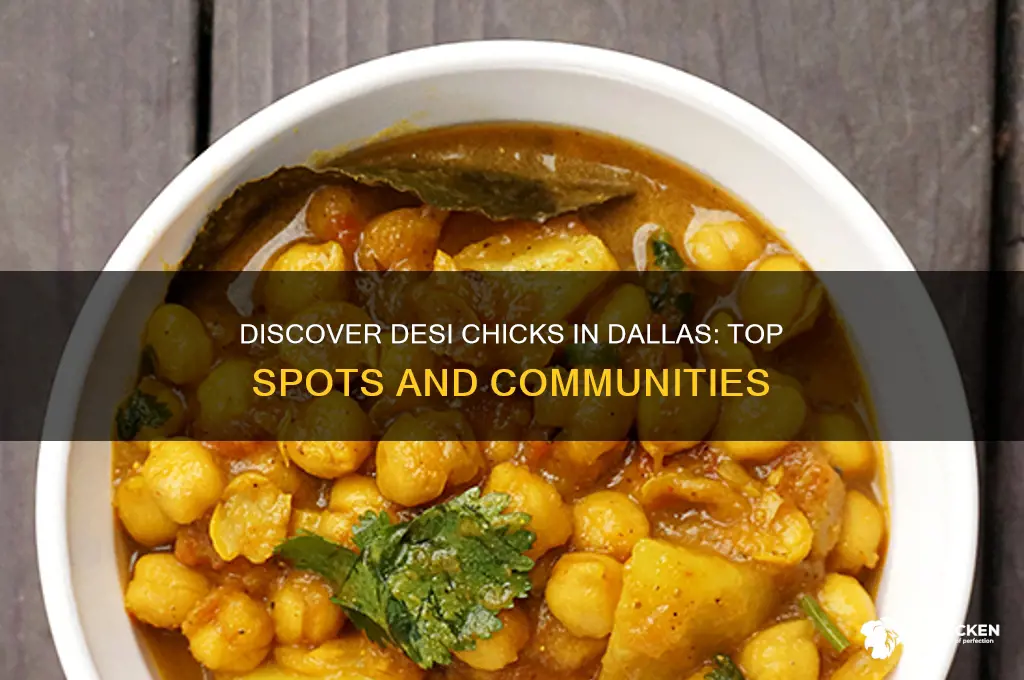 where to find desi chicks in dallas