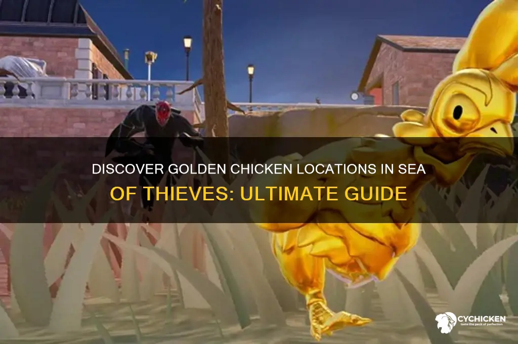 where to find golden chicken sea of thieves