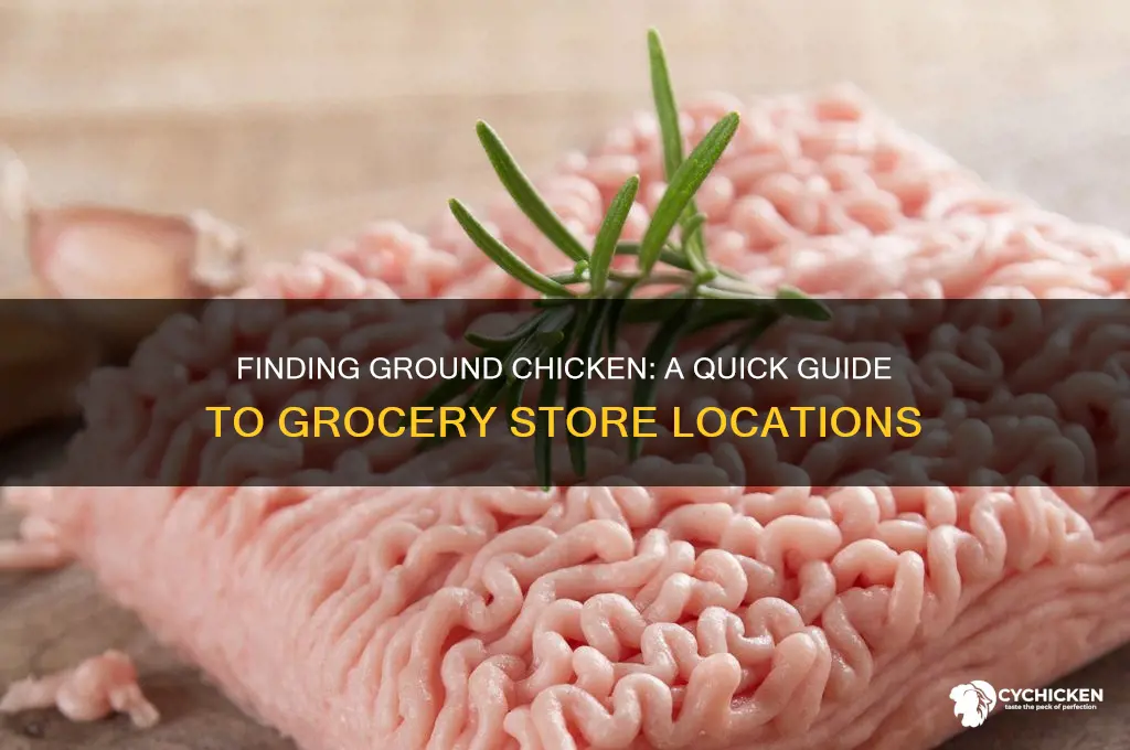 where to find ground chicken in grocery store