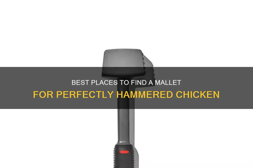 where to find mallet to hammer chicken