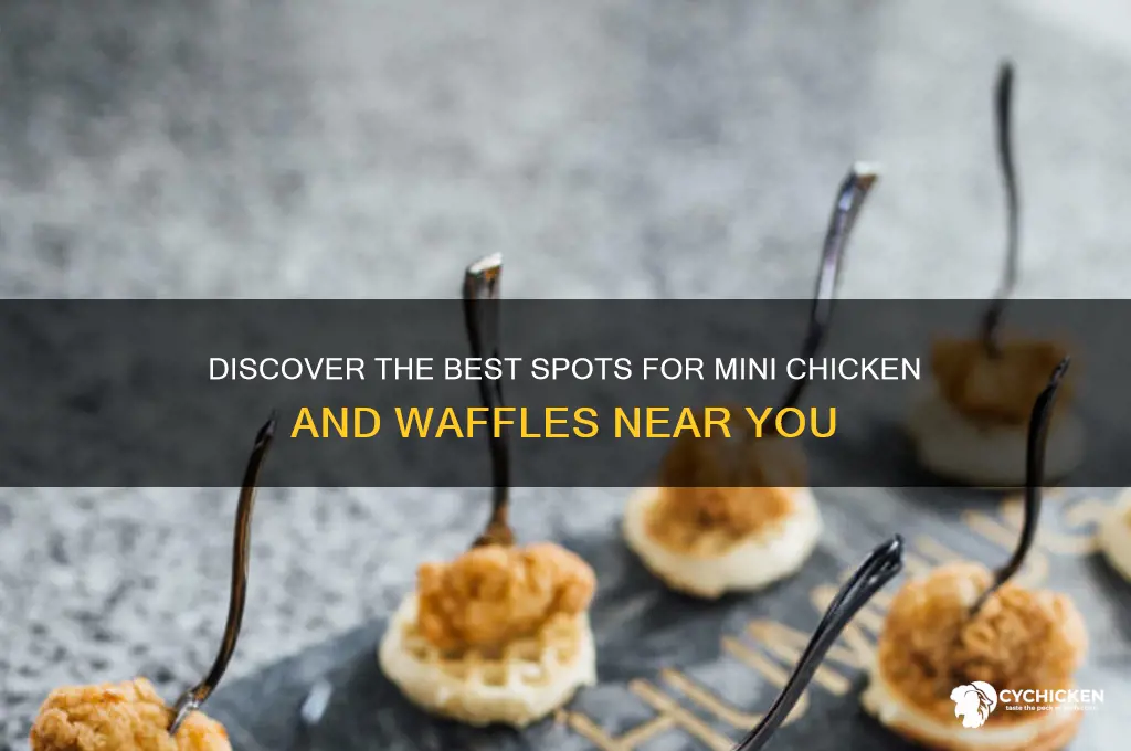 where to find mini chicken and waffles