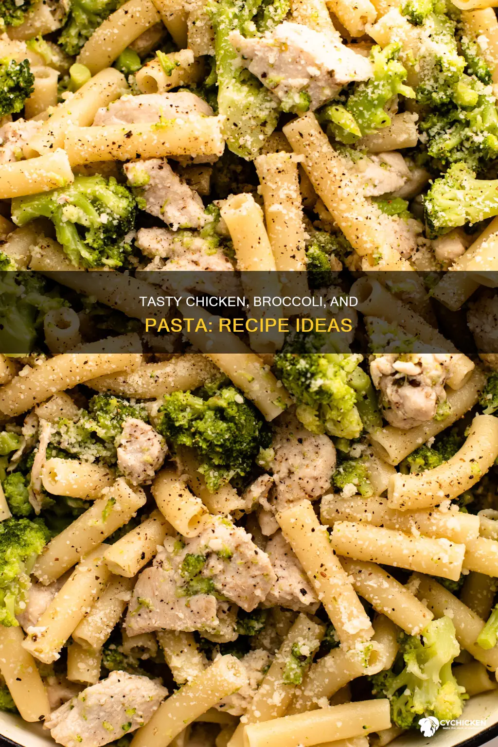 where to find pasta recipe with broccoli and chicken