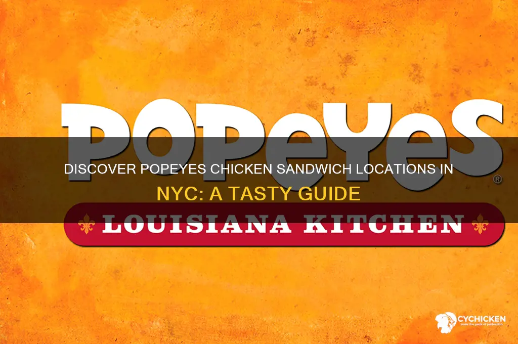 where to find popeyes chicken sandwich in nyc