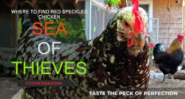 Finding the Red Speckled Chicken in Sea of Thieves