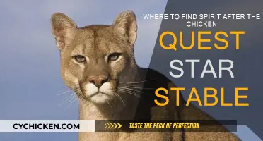 Spirit's Hiding Place: Exploring Beyond Chicken Quest