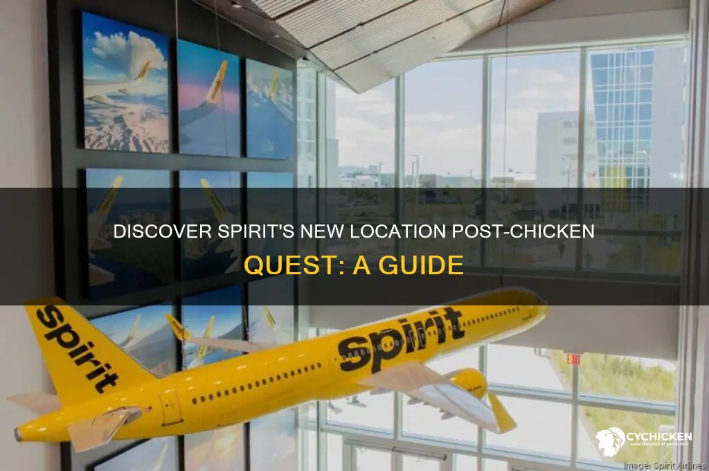 where to find spirit after the chicken quest