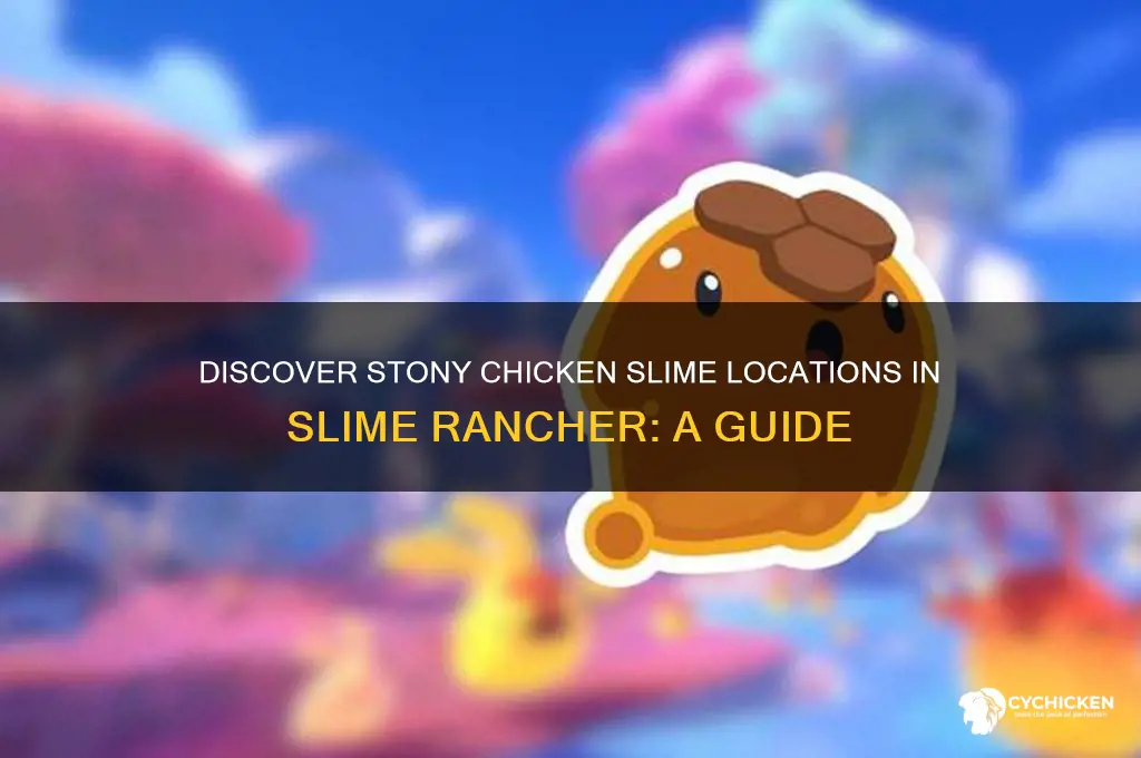 where to find stony chicken slime rancher