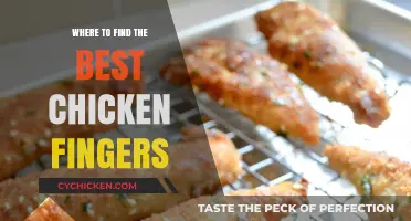 Crunchy Bliss: Top Spots for the Ultimate Chicken Fingers Experience
