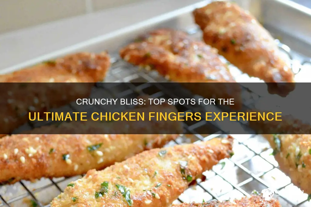 where to find the best chicken fingers