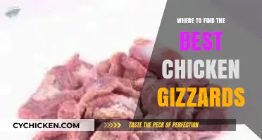 Discover the Top Spots for Mouthwatering Chicken Gizzards Worldwide