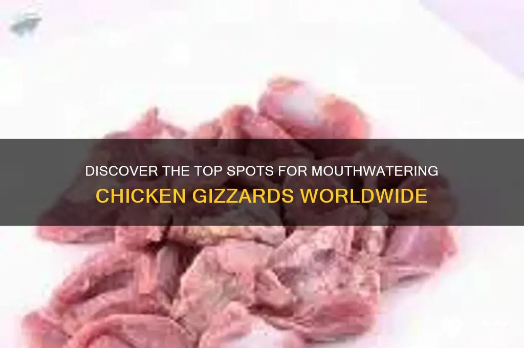 where to find the best chicken gizzards