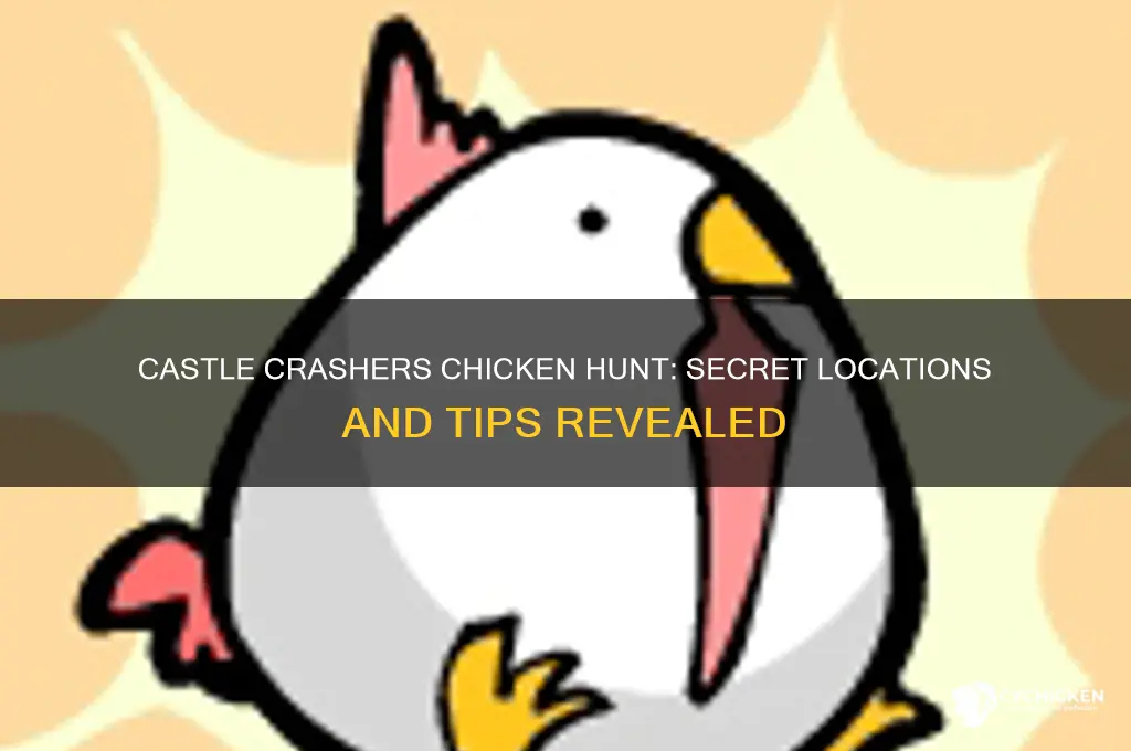 where to find the chicken in castle crashers