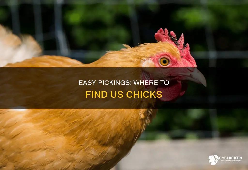 where to find the easiest chicks in the us