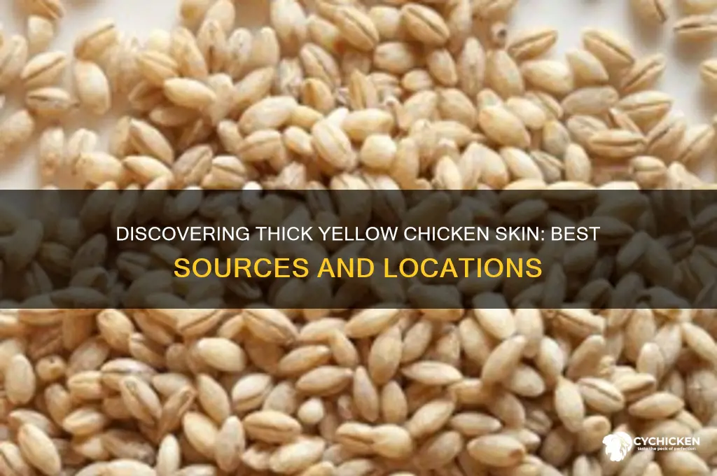 where to find thick yellow chicken skin