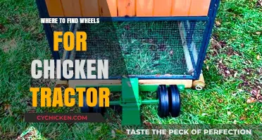 Best Places to Find Wheels for Your Chicken Tractor Setup