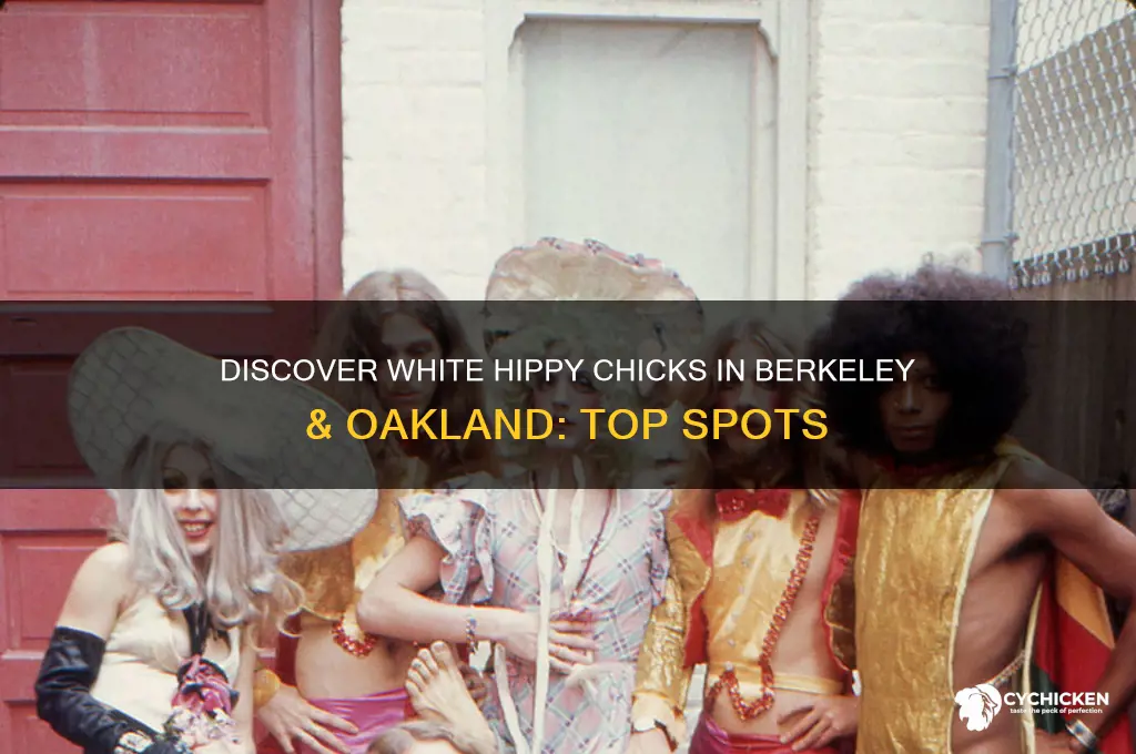 where to find white hippy chicks beekeley oakland