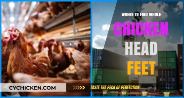 Exploring Global Markets: Where to Find Whole Chicken Head and Feet