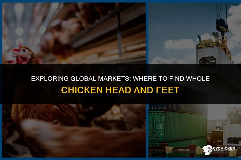 where to find whole chicken head feet
