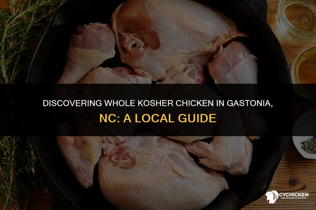 where to find whole kosher chicken in gastonia nc