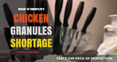 Wyler's Chicken Granules Shortage: Where to Find Alternatives Now